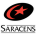 Сарацини